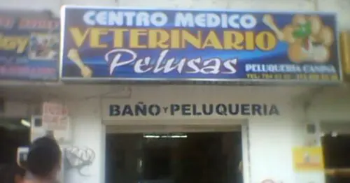 VETERINARIA PELUSAS BOGOTÁ VETERINARIA PELUSAS BOGOTÁ